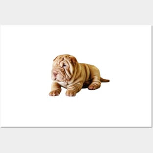 Shar Pei Cute Puppy Dog Posters and Art